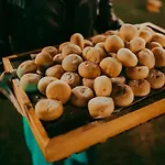 Εξοχικό σπίτι Podere Conte Gherardo