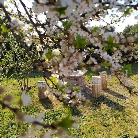 Podere Conte Gherardo * Castagneto Carducci