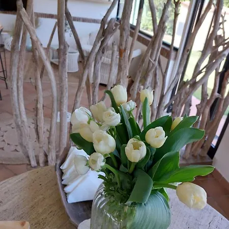 Podere Conte Gherardo * Castagneto Carducci