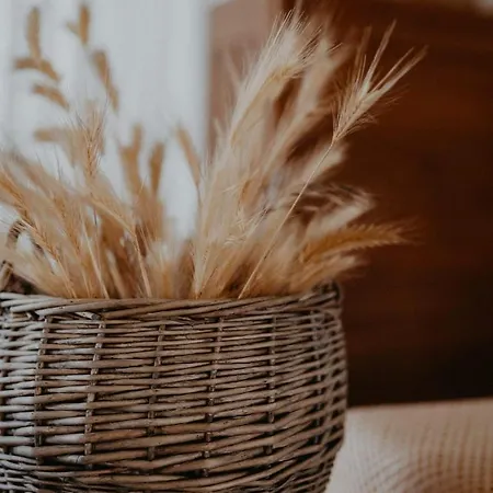 Podere Conte Gherardo Castagneto Carducci