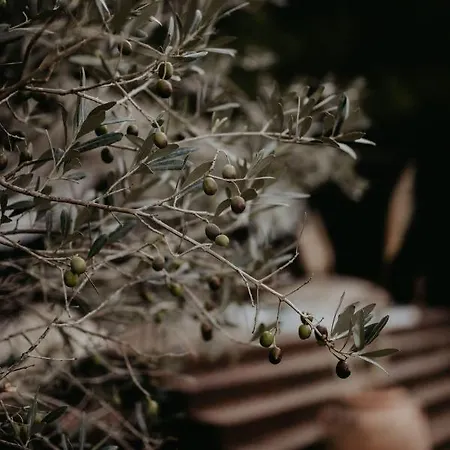 Podere Conte Gherardo Hétvégi ház *